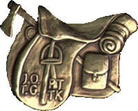 343.jpg