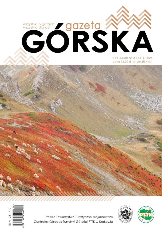 GG131 okladka DRUK pol mala.jpg